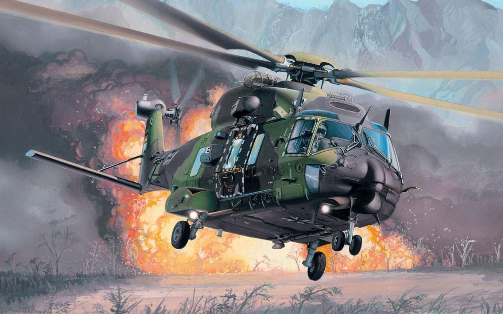 直升机,NHI,火灾,爆炸,欧洲直升机公司,多用途,NH90,提取