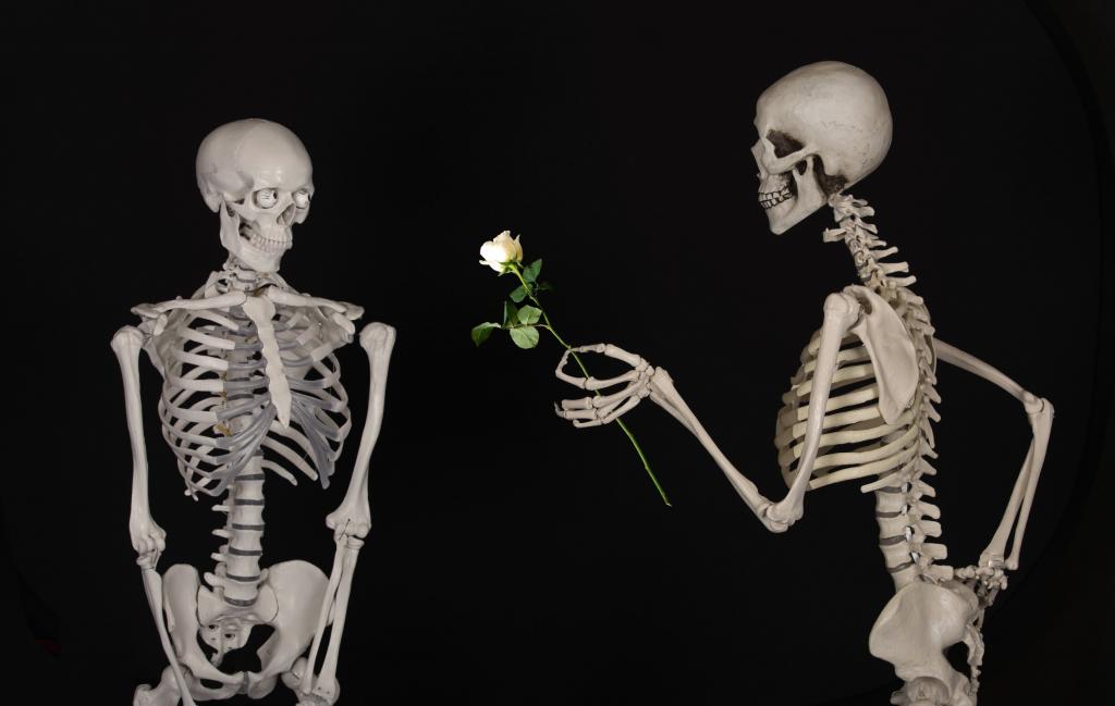 拿着白色玫瑰在白色骨骼HD墙纸附近的白人的骨骼