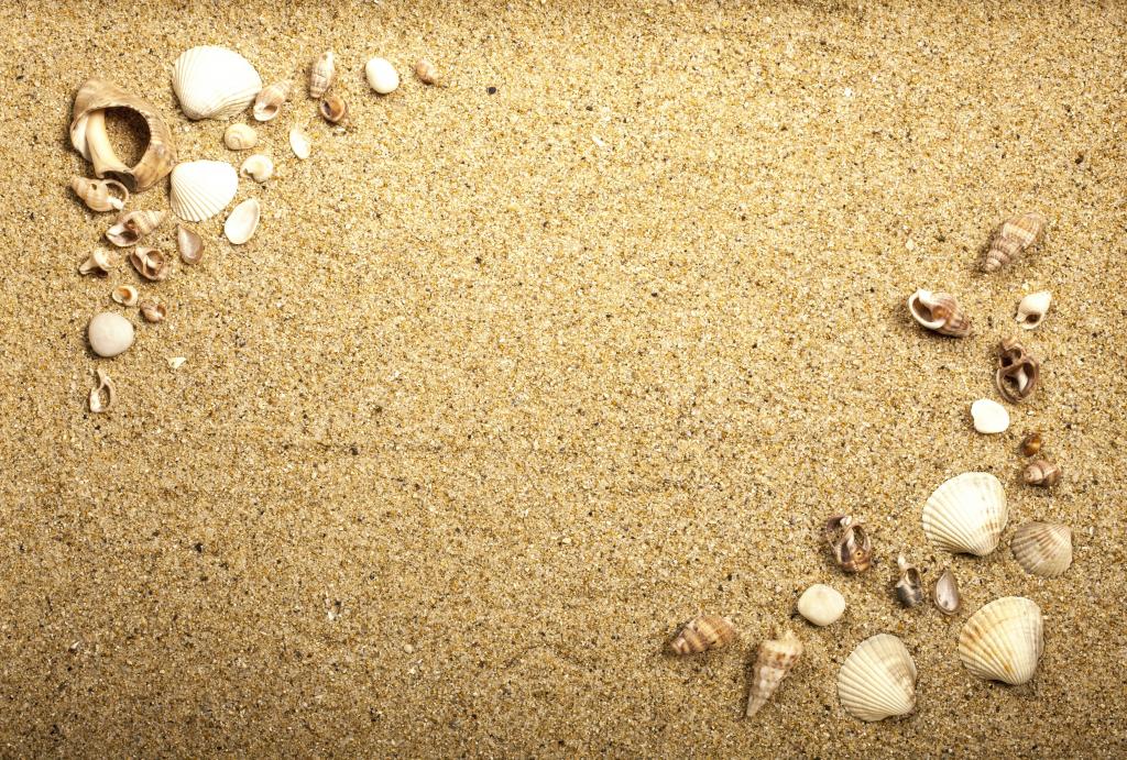 沙子,沙子贝壳,纹理,海洋,沙滩,贝壳