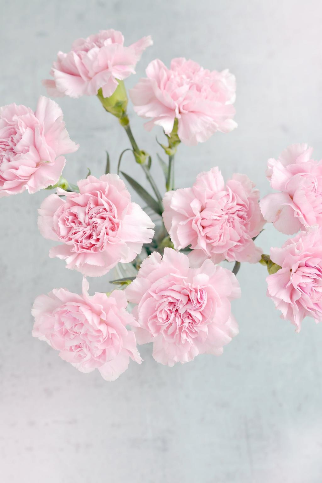 粉红色的鲜花花束高清壁纸