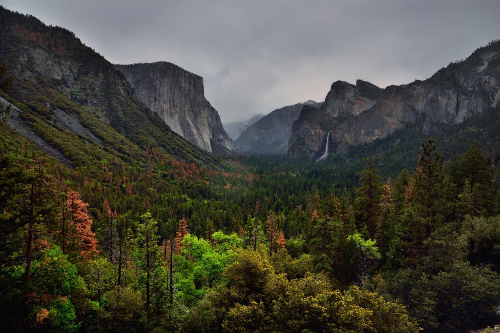 山和森林,优胜美地国家公园高清壁纸的风景照片