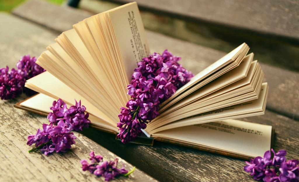 本书中心页面上的紫色花朵高清壁纸