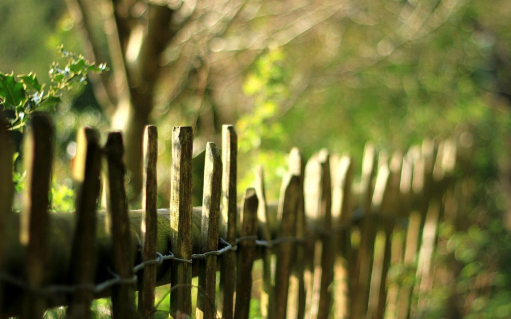 围栏,性质,叶子,树,叶子,模糊,围栏,叶子,围栏,树,绿色,围栏,性质