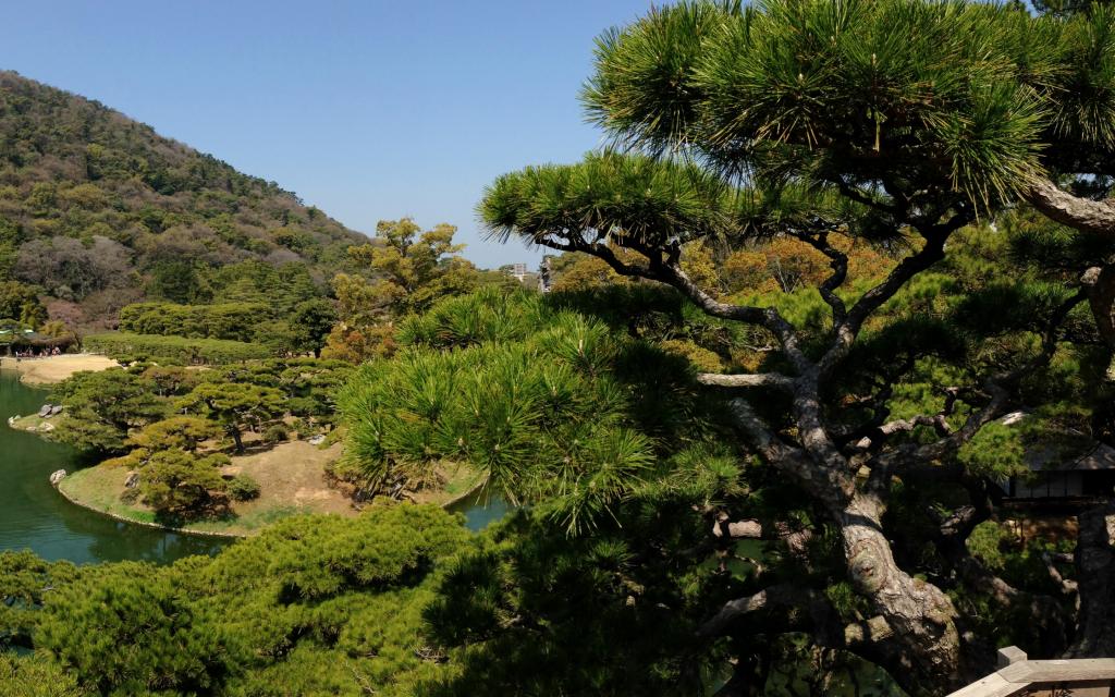 壁纸池,Ritsurin花园,果岭,花园,树木,日本高松