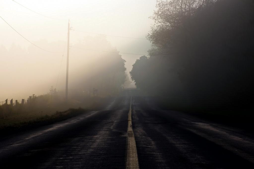 雾,早上,景观,道路