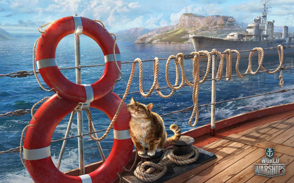 船,绳索,祝贺,3月8日,甲板,海,救生圈,世界的战舰,猫