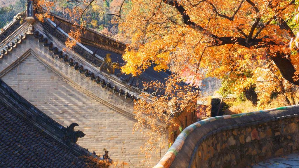 中国,秋天,房子,屋顶,北京