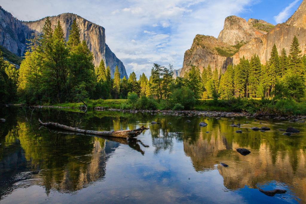 石头,山,CA,优胜美地国家公园,障碍,河,森林,美国