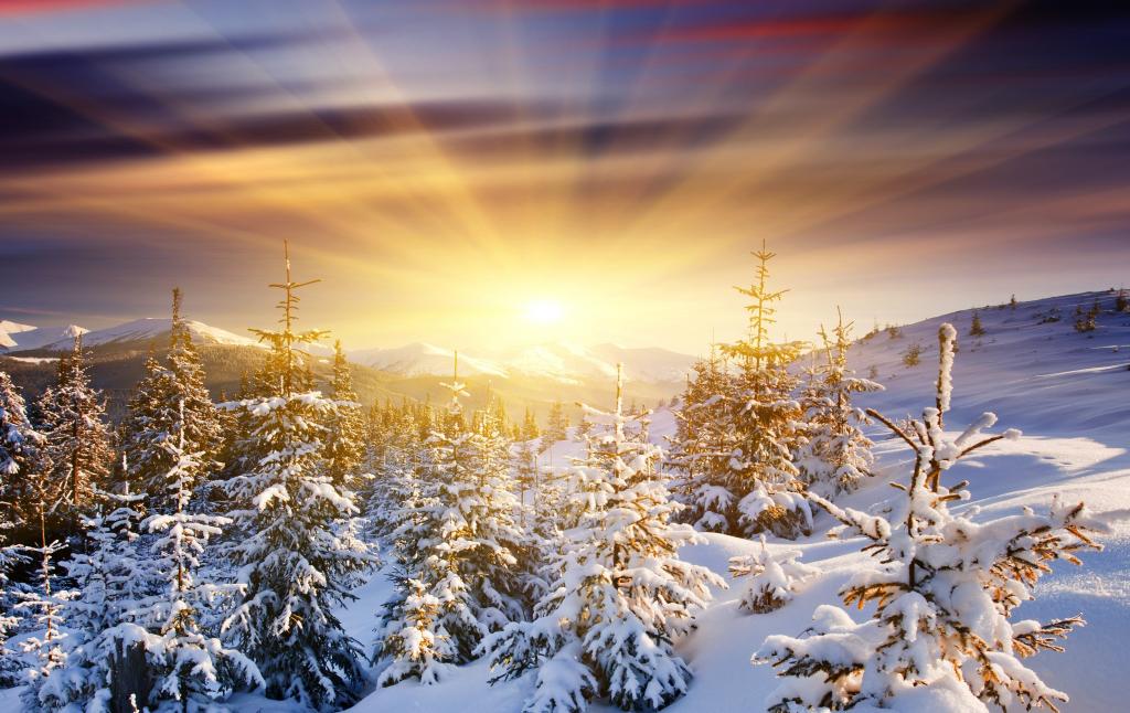 树,黎明,雪,山,太阳