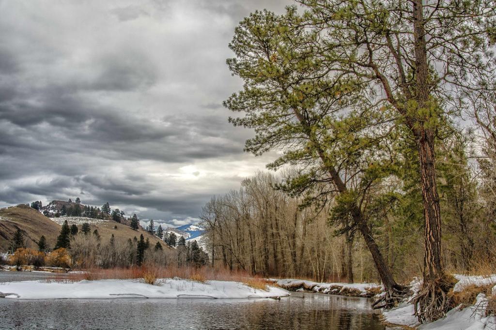 壁纸河,密苏拉州,蒙大拿州,冬天