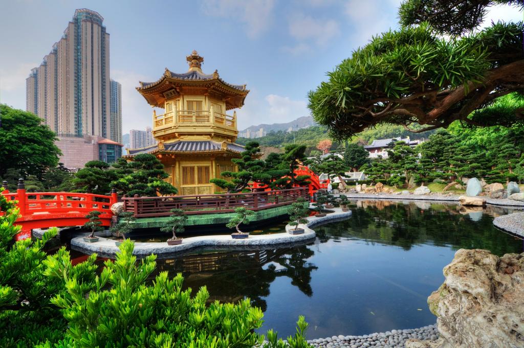 香港,公园,桥梁,家,树,灌木,城市,中国,绿色,宝塔,南联...