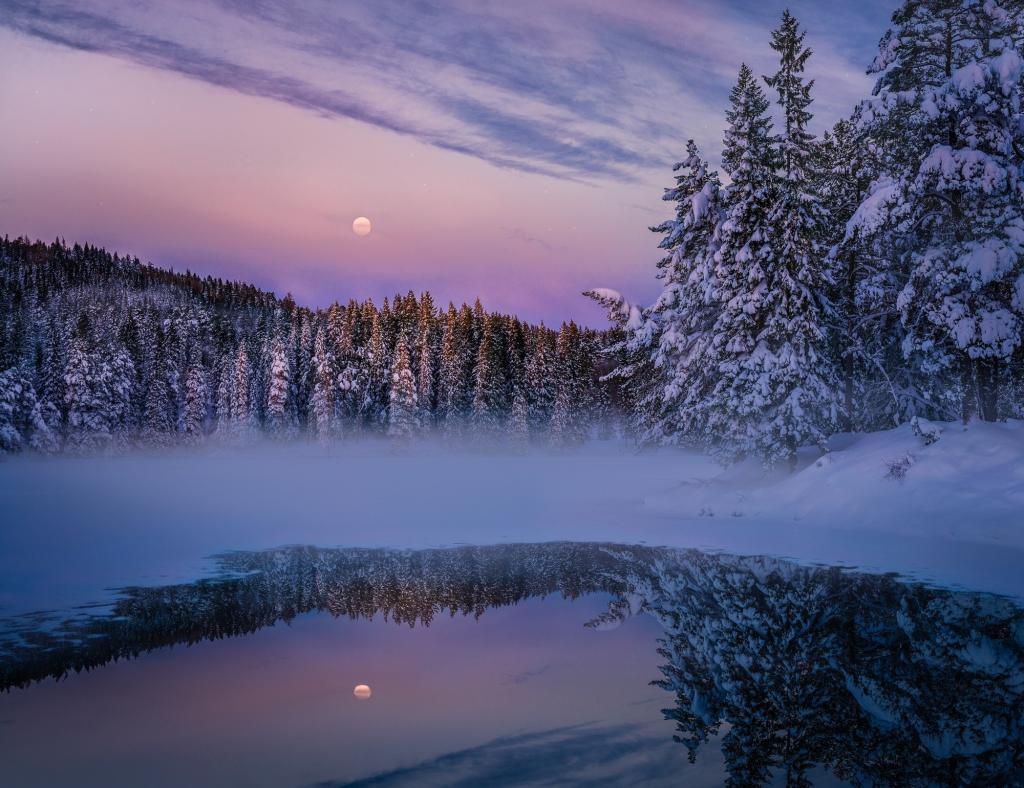 森林,阴霾,湖泊,傍晚,月亮,自然,冬天,雪