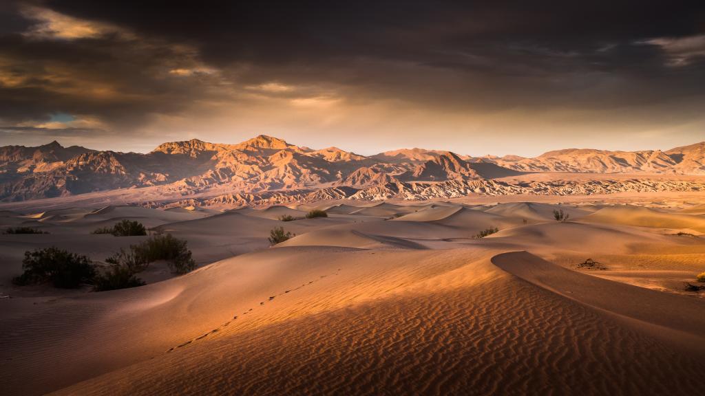 死亡谷,加州,沙漠,美国