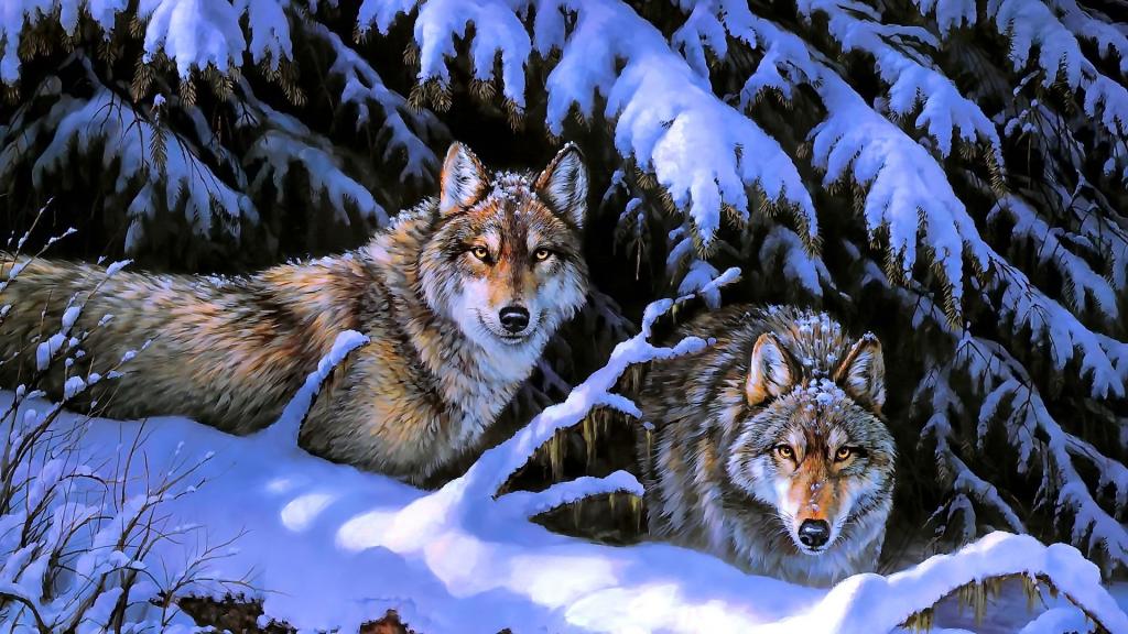 动物,雪,冬天,性质,树木,狼