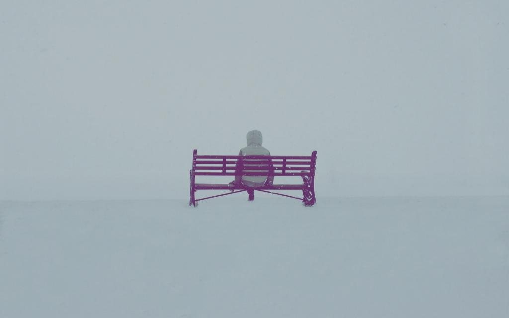 雾,人,长凳,心情