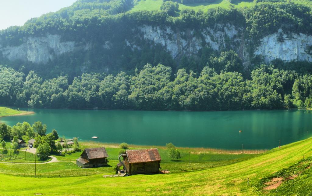 瑞士,房屋,山,瑞士,林间空地,树木,草地,河流
