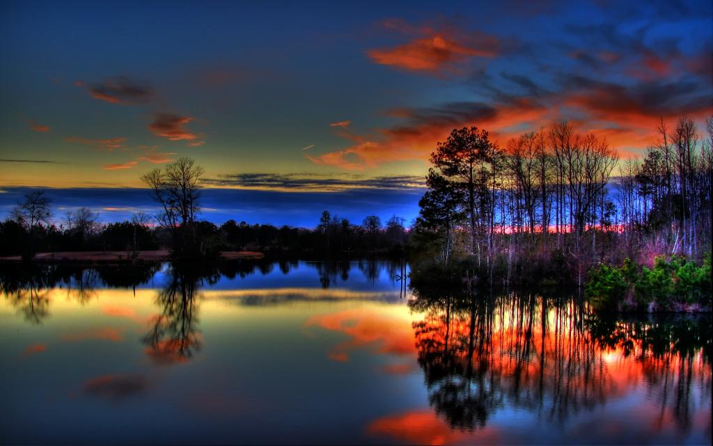 壁纸湖,天空,发光,树,云,日落