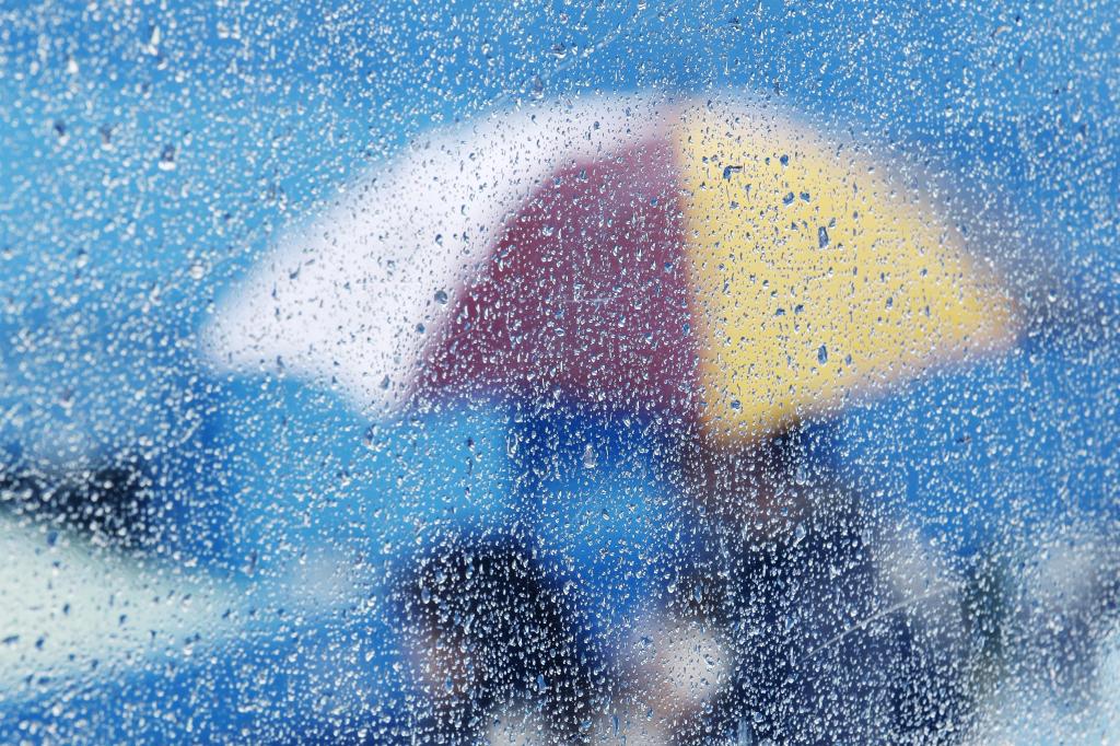 雨,玻璃,雨伞