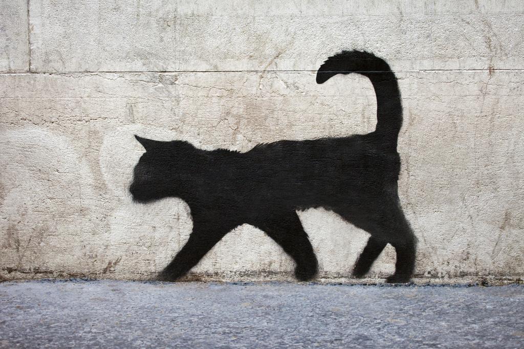 黑猫,纹理,壁纸。,美丽的背景,涂鸦,黑猫,美丽的背景,谁走自己,...