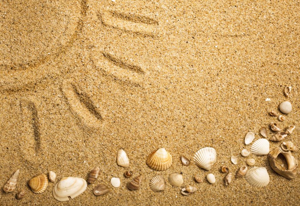 壁纸砂,沙贝壳,纹理,海洋,沙滩,贝壳