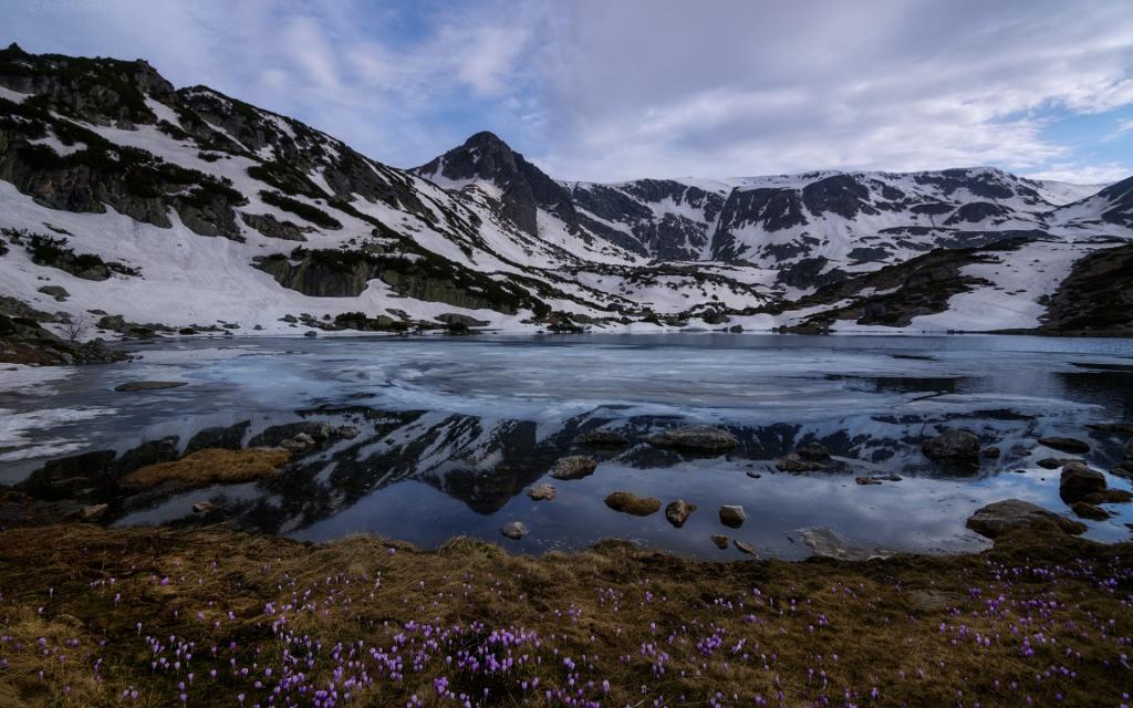 花,雪,里拉,山,保加利亚,云,里拉国家公园,Ribnoto湖