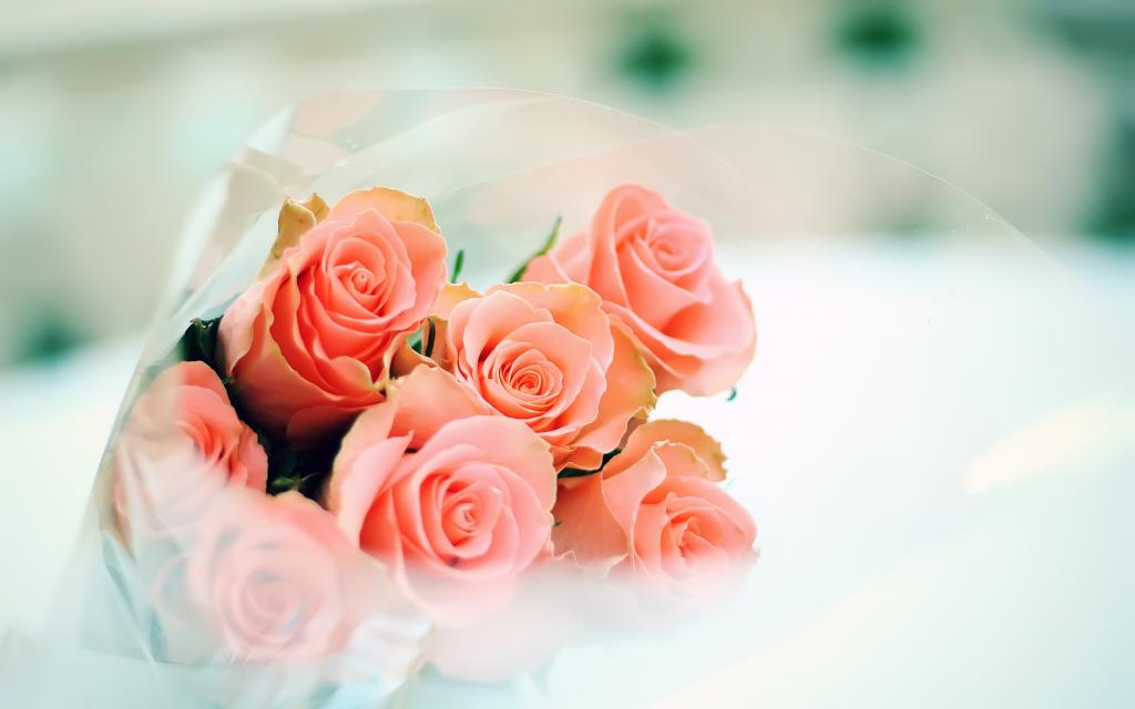 柔情,玫瑰,花束