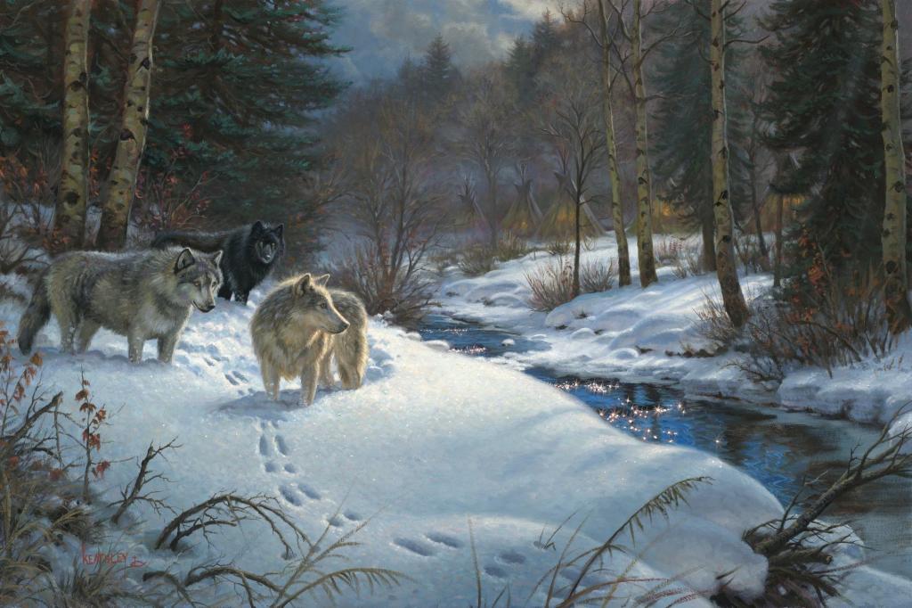 动物,马克·凯斯利,冬天,绘画,狼,傍晚,溪流,阴影谷,蒙古包,森林