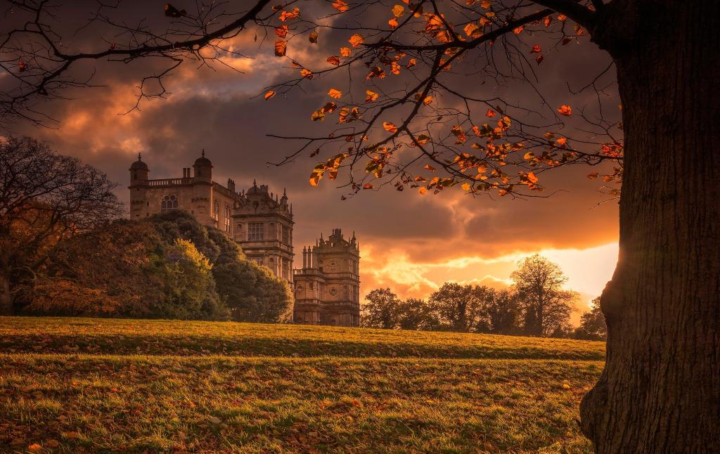 城堡,秋,英格兰,宫,光,树