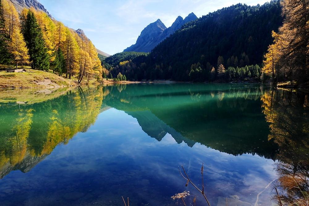 绿树和湖微距摄影,瑞士高清壁纸