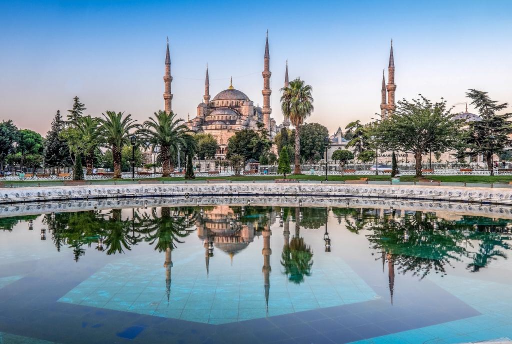 棕榈树,蓝色清真寺,土耳其,反射,蓝色清真寺,苏丹艾哈迈德清真寺,树木,伊斯坦布尔,伊斯坦布尔,...