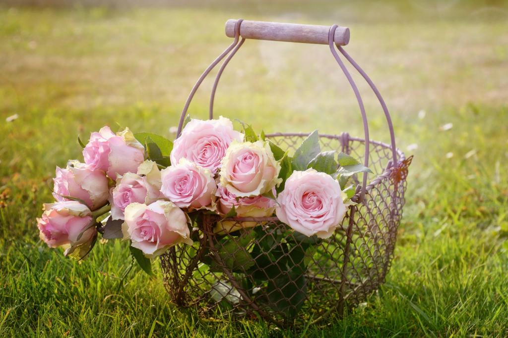 玫瑰,篮子,夏天,粉红色,花束,鲜花