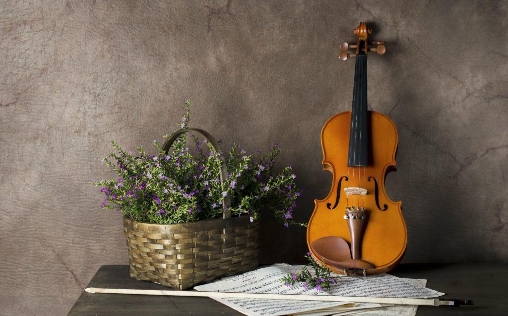鲜花,笔记,小提琴