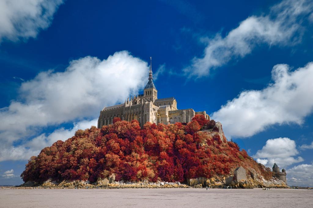 蒙山圣米歇尔高清壁纸全景摄影的棕色城堡山上覆盖着红叶树木,蒙特圣米歇尔高清壁纸