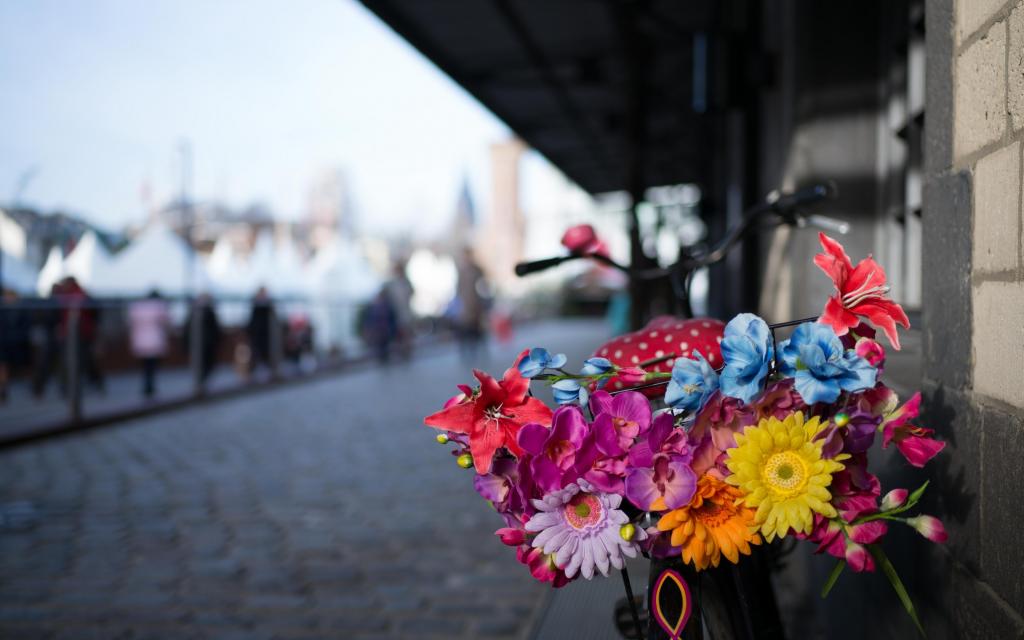城市,自行车,街道,鲜花
