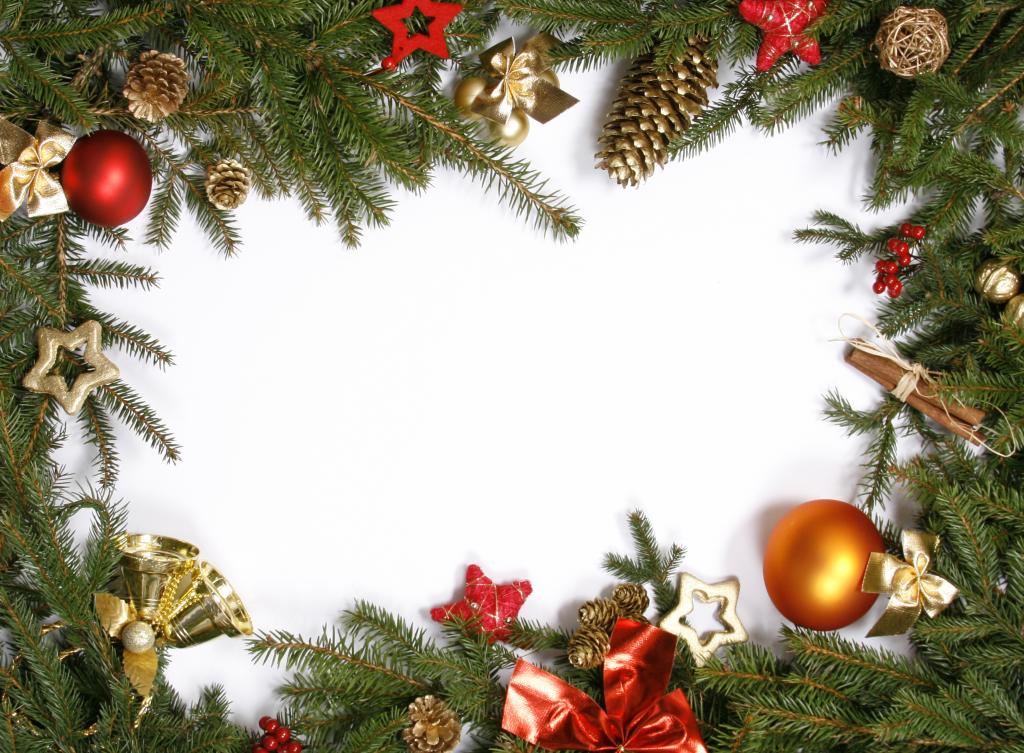浆果,圣诞装饰品,颠簸,树,分支机构,肉桂