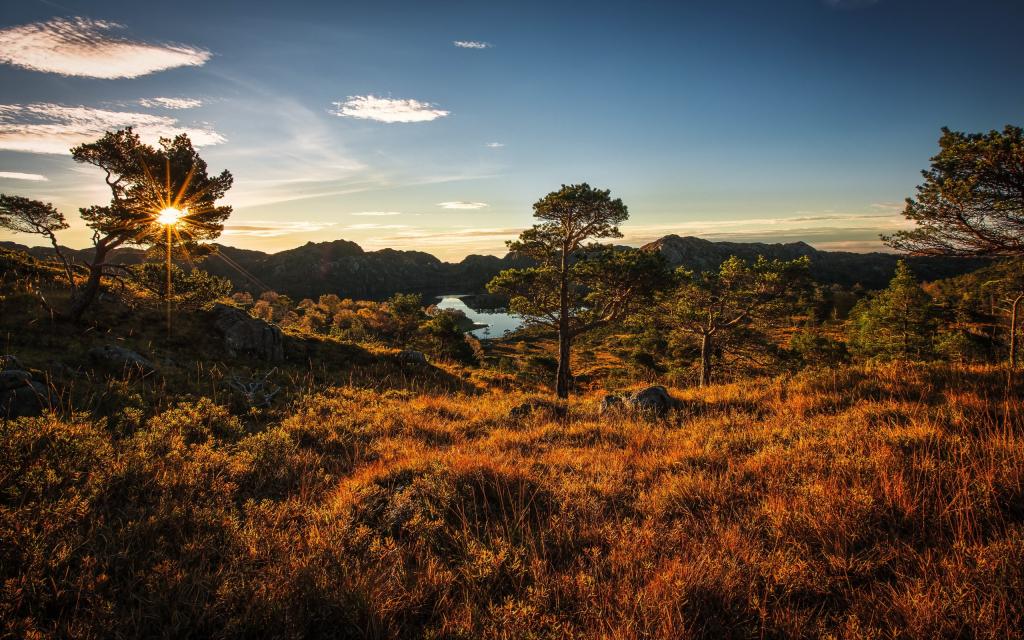 景观,秋天,挪威
