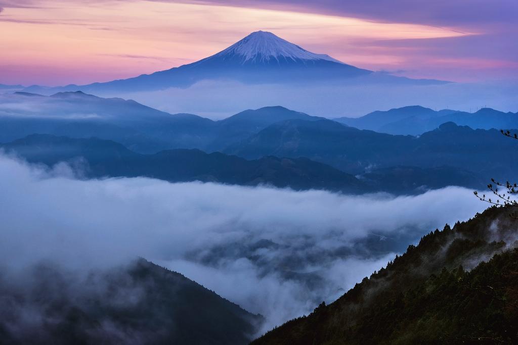 富士山,富士山,早上,日本,四月,斯特拉托沃卡诺,春天