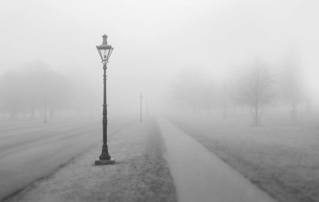 在雾高清壁纸期间路径和路之间的光职位灰度摄影