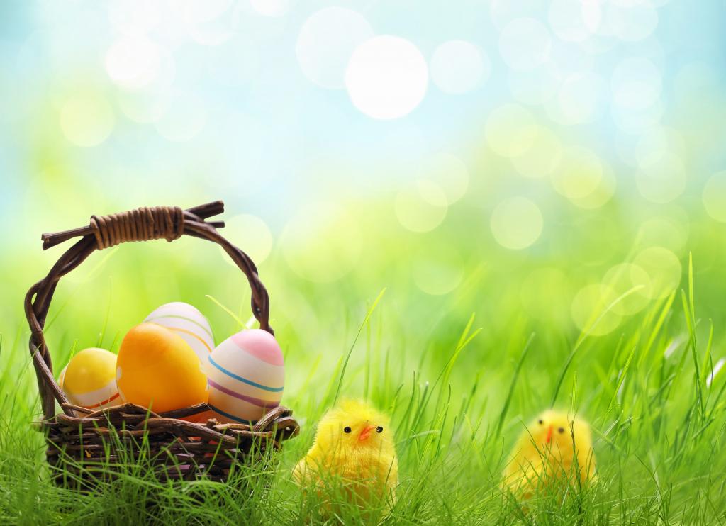 春天,草,篮子,柳条,篮子,复活节,散景,鸡蛋,复活节,鸡,假期,鸡,春天,鸡蛋