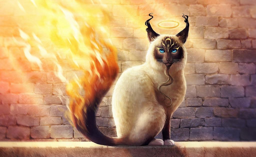 猫,墙壁,火
