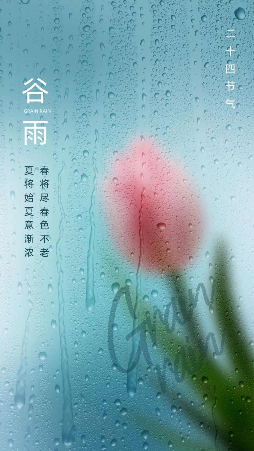 传统节气谷雨简约清新海报