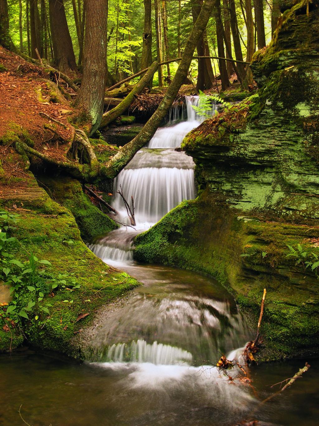 游戏中时光倒流的摄影由绿色的青苔和绿叶树高清壁纸包围的清澈的瀑布