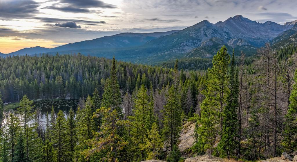 绿色的树叶俯瞰山脉与湖在白天的时间,洛矶山国家公园高清壁纸