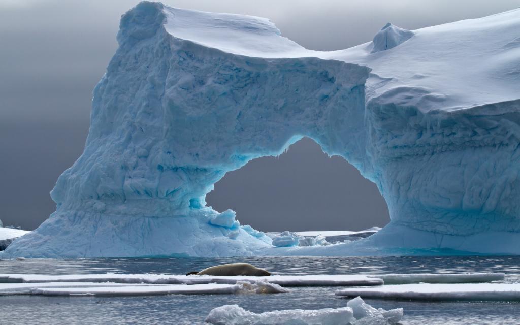 彼得曼岛,南极洲,冰山,Crabeater密封