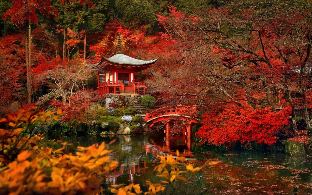 大桥,日本的寺庙Da-寺,日本的花园,树木,池塘,京都