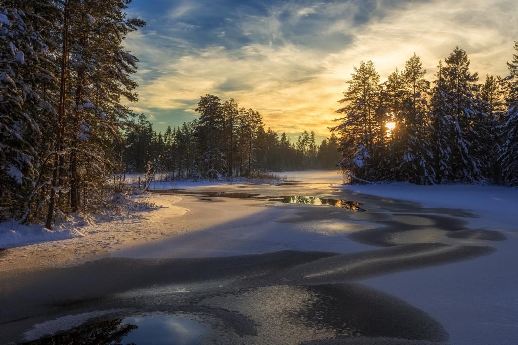 湖,雪,冬天,树,瑞典,森林