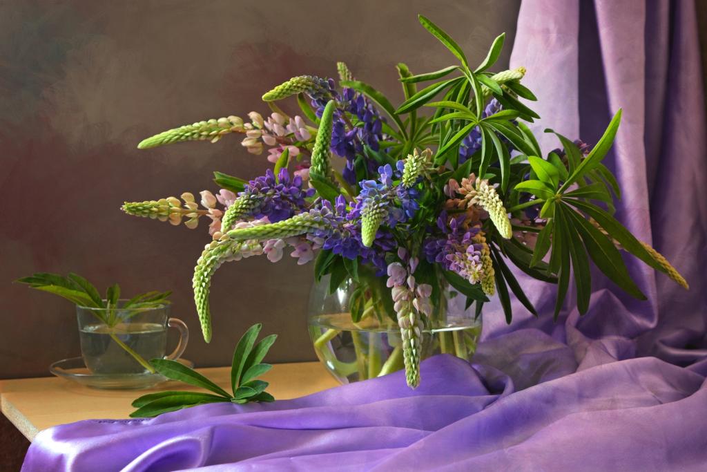 壁纸织物,羽扇豆,花束,紫色