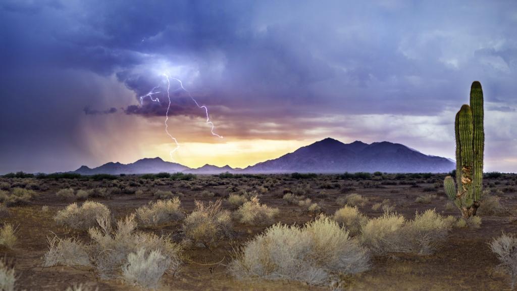亚利桑那州,闪电,季风日落,沙尘暴