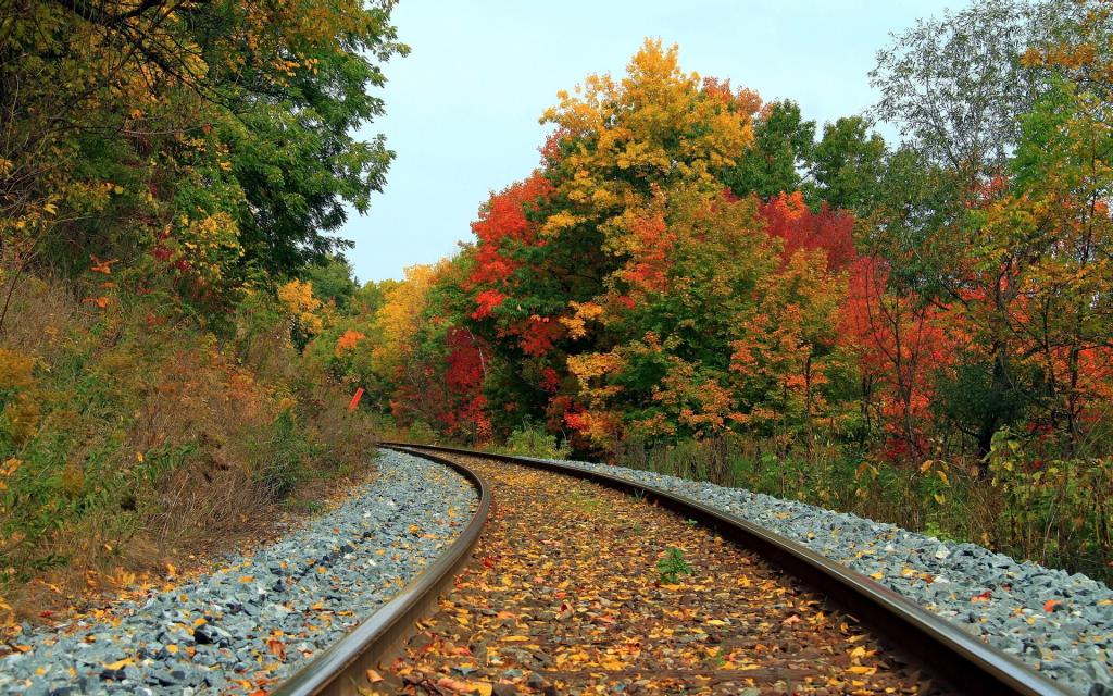秋天,风景,铁路