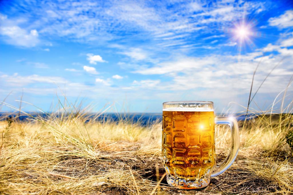 啤酒,草,天空,云,景,景观,杯子,太阳